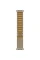 Apple Watch Ultra 2 49mm Natural Titanium Case with Tan Alpine Loop (Small) 2024
